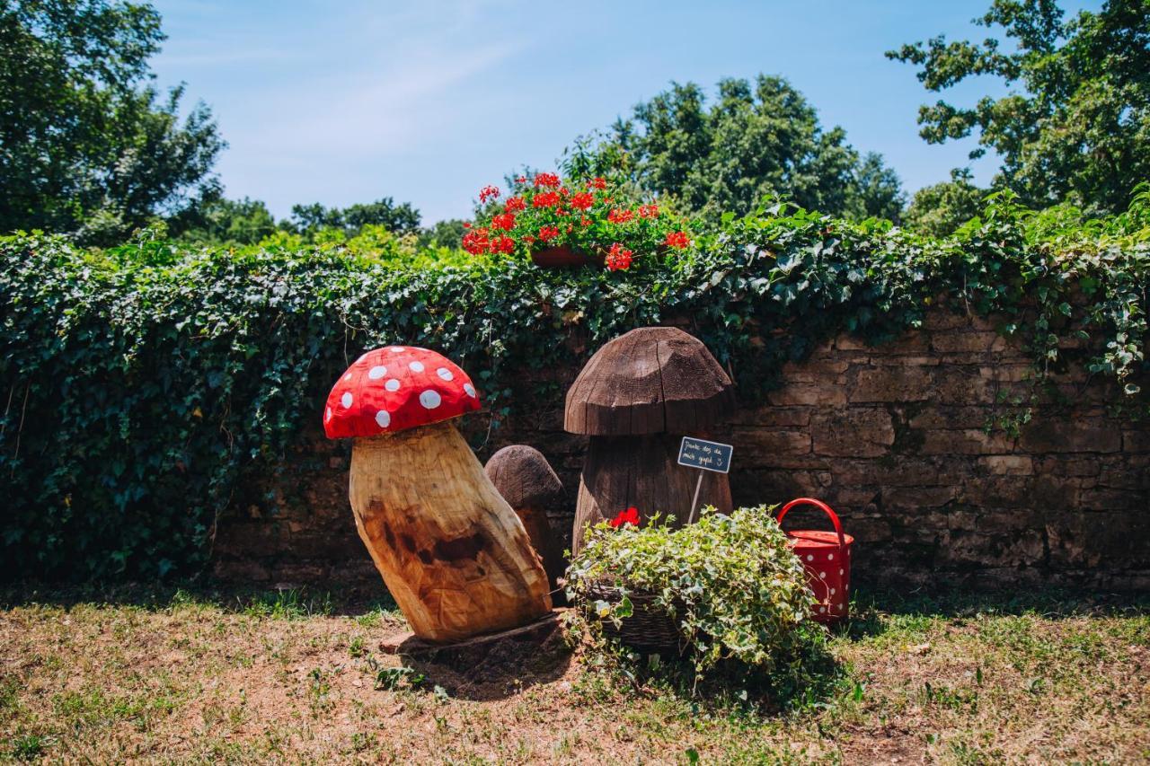 Casa Karnevali Vila Žminj Exterior foto